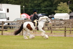 SBM_06235