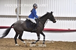 BPP_3836