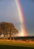 Black isle rainbow