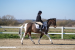 SBM_002152