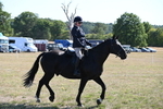 WJ6_7469