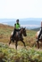 SPXX1729