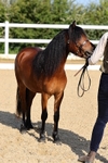 1X9A0504