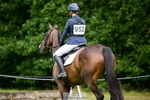 952-Anna.Johannson-Higher.Way.Skylark portfolio