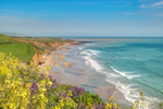 z3216 Colours of Summer Compton Bay