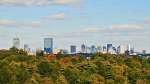 Boston CityScape