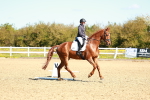 SBM_000161