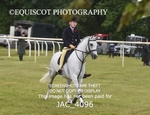 JAC_4096