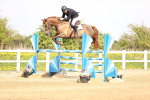 Class 14 - National 1.30m-1.40m portfolio