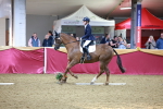 SBM_06696