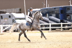 SBM_001715