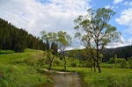 Western Rhodopes Mountains, Smolyan Province, Bulgaria