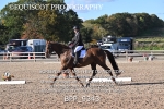 BPP_9343