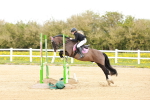 SBM_005505