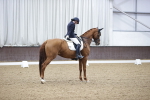SBM_008012