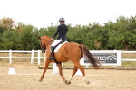 SBM_007366