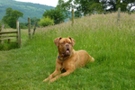 on a walk in June 2012