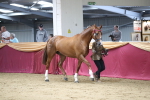 SBM_05076