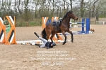 BPP_5667