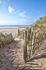 Sand dunes at Dawlish Warren -portrait