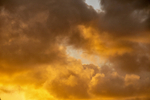 ACP_6460-1