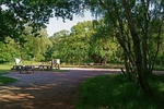 Major Oak - Sherwood Forest (Nottinghamshire)
