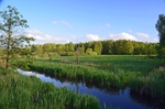Białowieża, Poland