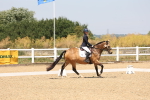 SBM_004386