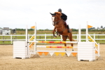SBM_009187