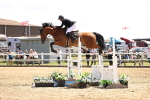 SBM_003918