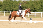SBM_001595