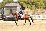 SBM_001511