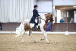 SBM_006965