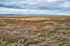 Grange-over-Sands 02