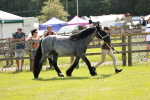 SBM_02521
