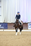 SBM_000331