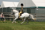 SBM_06761