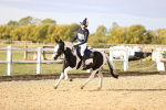 SBM_000615