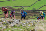 Wasdale Show-402