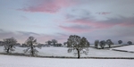 Winter Sunset