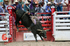 3HRodeo_CFD_JUL_19_2026_01275-BBartlett