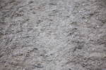 SBM_005544