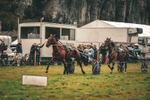 DSCF7171