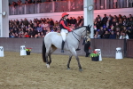 SBM_004793