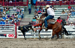3HRodeo7-22-25_CFD_03386_