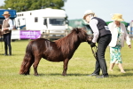 SBM_01903