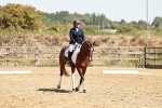 SBM_002816