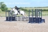 BPP_0833