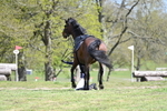 WJ7_9148
