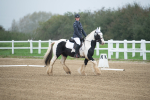 SBM_003361